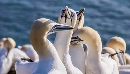 平阳高价上海医保提取2025的最新政策(2025年平阳上海医保怎么提取现金分享)