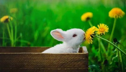 平阳高价上海医保提取2025的最新政策(2025年平阳上海医保怎么提取现金分享)